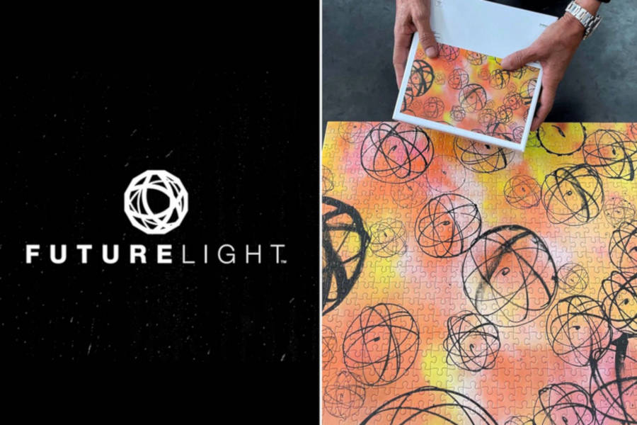 Droit de la Propriété Intellectuelle | Futura c/ The North Face : Quand le droit d'auteur s'oppose au droit des marques